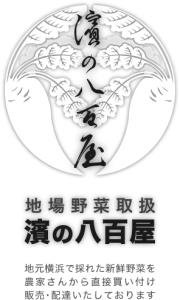 top_logo.png　濱の八百屋