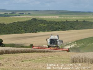 英国の冬小麦の収穫作業