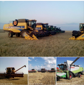 ウクライナ冬小麦収穫終了