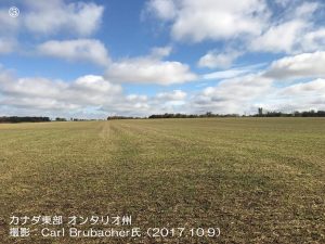 北半球の冬小麦の播種1-3