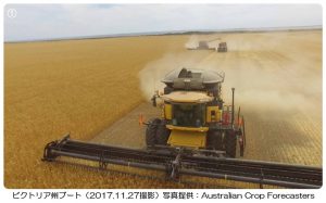 小麦の収穫が雨で遅延（豪州）1-1