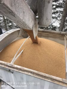 雪が多くても穀物輸送は順調です（カナダ）1-3