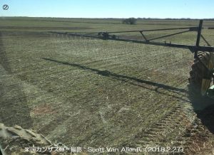 乾燥に見舞われる冬小麦畑（米国カンザス州）1-2